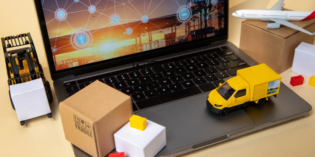 SAP Business One Rolü