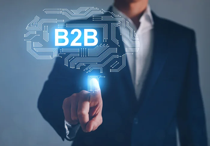 b2b portal