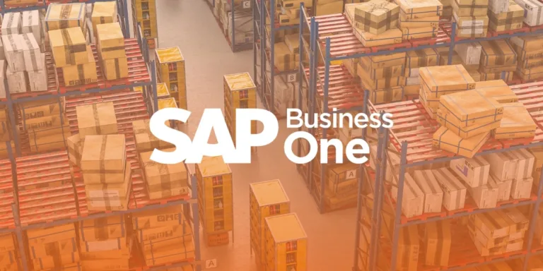 SAP Stok Yönetimi
